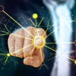 Origen y Revolución de la Rueda: Descubre su Impacto Tecnológico
